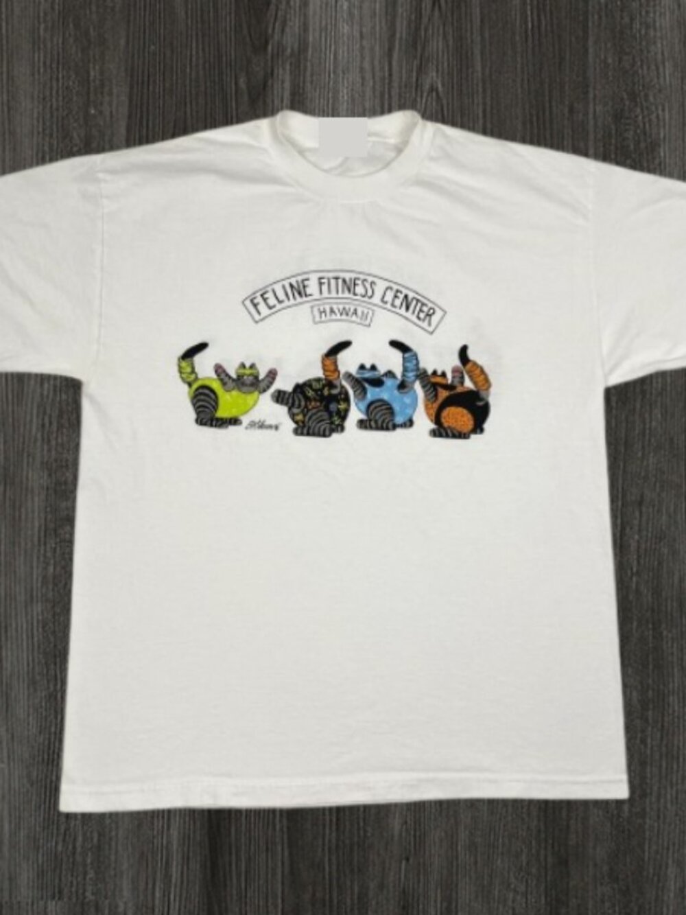 B. Kliban Cat T-Shirt